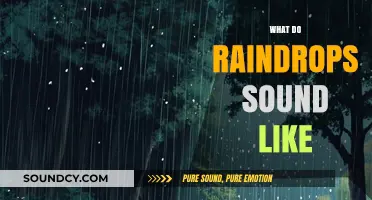 Exploring the Soothing Symphony: What Do Raindrops Sound Like?