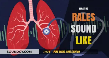 Understanding Rales: What These Lung Sounds Actually Sound Like