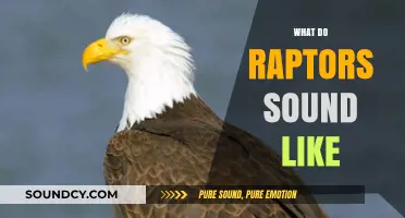 Unveiling the Mysterious and Haunting Calls of Raptors in the Wild