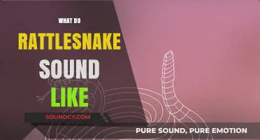 Unveiling the Distinct Rattle: What Rattlesnakes Sound Like in the Wild
