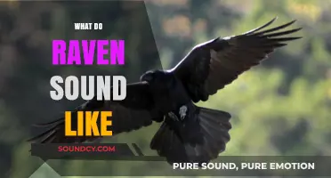 Unraveling the Mystical Croaks and Calls of Ravens in Nature