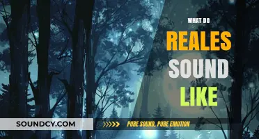 Unveiling the Mystical Sounds of Reales: A Sonic Exploration