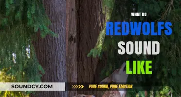 Unveiling the Haunting Howls: What Do Red Wolves Sound Like?