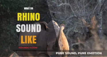 Unveiling the Unique Vocalizations: What Do Rhinos Sound Like?