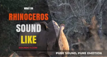Unveiling the Unique Vocalizations: What Do Rhinoceroses Sound Like?