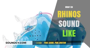 Unveiling the Unique Vocalizations: What Do Rhinos Sound Like?