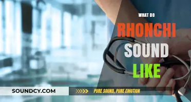 Understanding Rhonchi: What These Coarse Lung Sounds Actually Sound Like