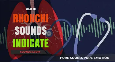 Understanding Rhonchi Sounds: What They Indicate and When to Seek Help