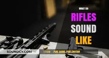 Exploring the Distinct Sounds of Rifles: From Crack to Boom
