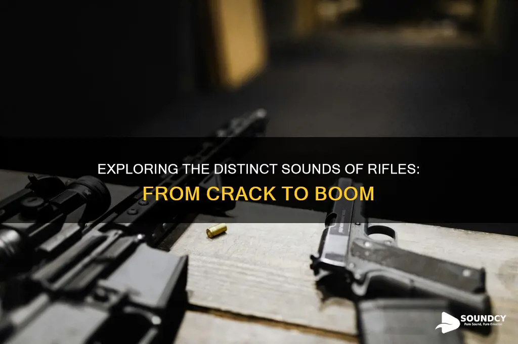 what do rifles sound like