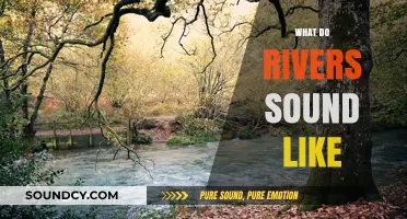 Exploring the Soothing and Dynamic Sounds of Rivers Worldwide
