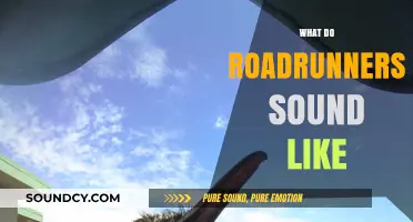 Discover the Unique and Surprising Sounds of Roadrunners in Nature