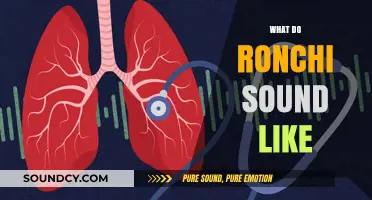Unveiling the Mystical Sounds of Ronchi: A Sonic Exploration