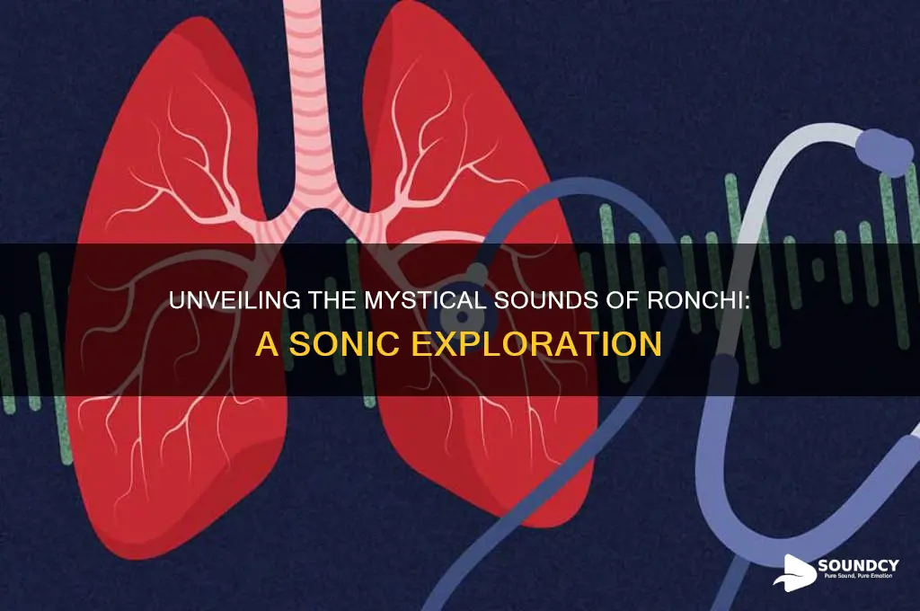 what do ronchi sound like