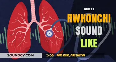Understanding Rales and Wheezes: What Do Rhonchi Sound Like?