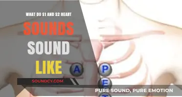 Understanding Heart Health: What Do S1 and S2 Heart Sounds Indicate?