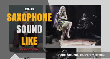 Exploring the Rich, Soulful, and Versatile Sound of the Saxophone