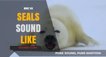 Unveiling the Unique Vocalizations: What Do Seals Sound Like?