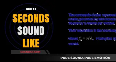 The Audible Pulse of Time: Decoding the Sonic Essence of Seconds
