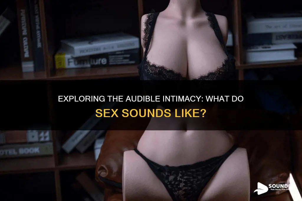 what do sex sound like