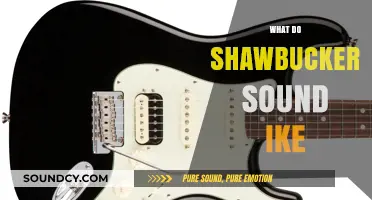 Unveiling the Unique Tone: What Do Shawbuckers Sound Like?