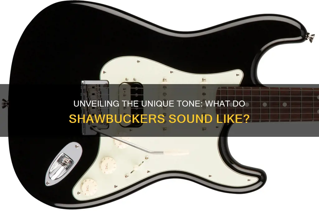 what do shawbuckers sound ike