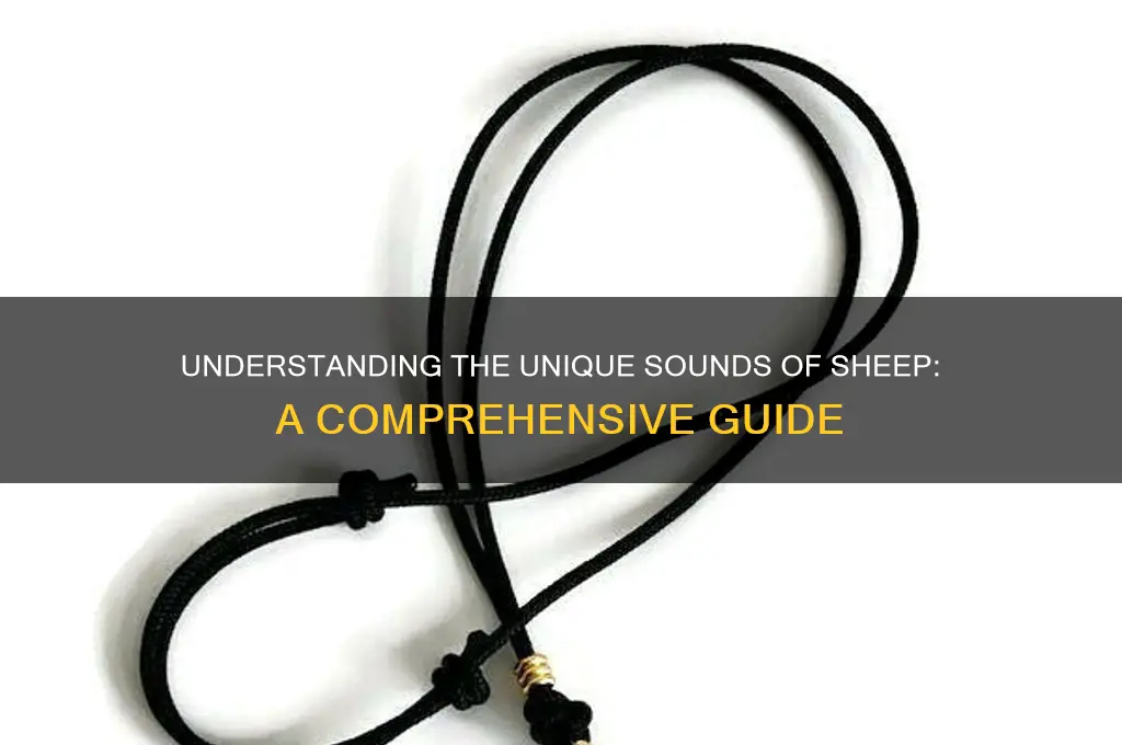 what do sheep sound like