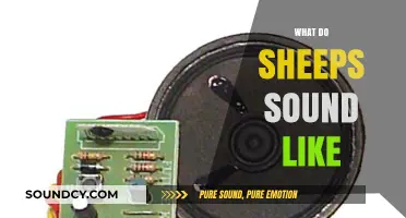 Unraveling the Unique Sounds of Sheep: A Guide to Their Vocalizations