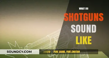 Exploring the Distinctive Boom: What Do Shotguns Sound Like?