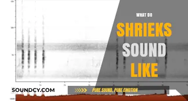 Decoding Shrieks: The Unique, Piercing Sounds and Their Emotional Echoes