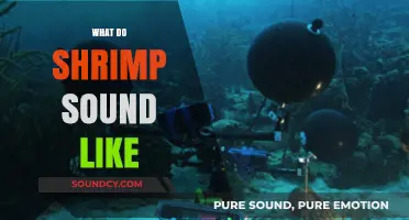 Unveiling the Surprising Sounds of Shrimp: A Deep Dive into Their Noises