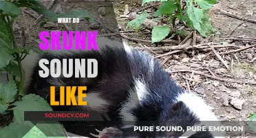 Unveiling the Unique Sounds of Skunks: What to Listen For