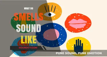 Exploring Synesthesia: How Scents Translate into Auditory Experiences