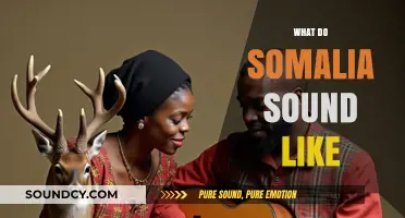 Exploring Somalia's Unique Soundscape: Music, Language, and Cultural Echoes