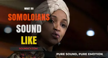Exploring the Unique Somali Accent: How Somalis Sound to the World