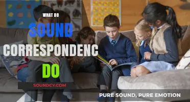 Understanding Sound Correspondences: Unlocking Language Connections and Historical Insights