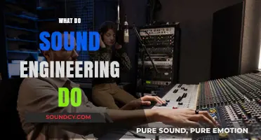 Exploring the Role of Sound Engineers in Music and Media Production