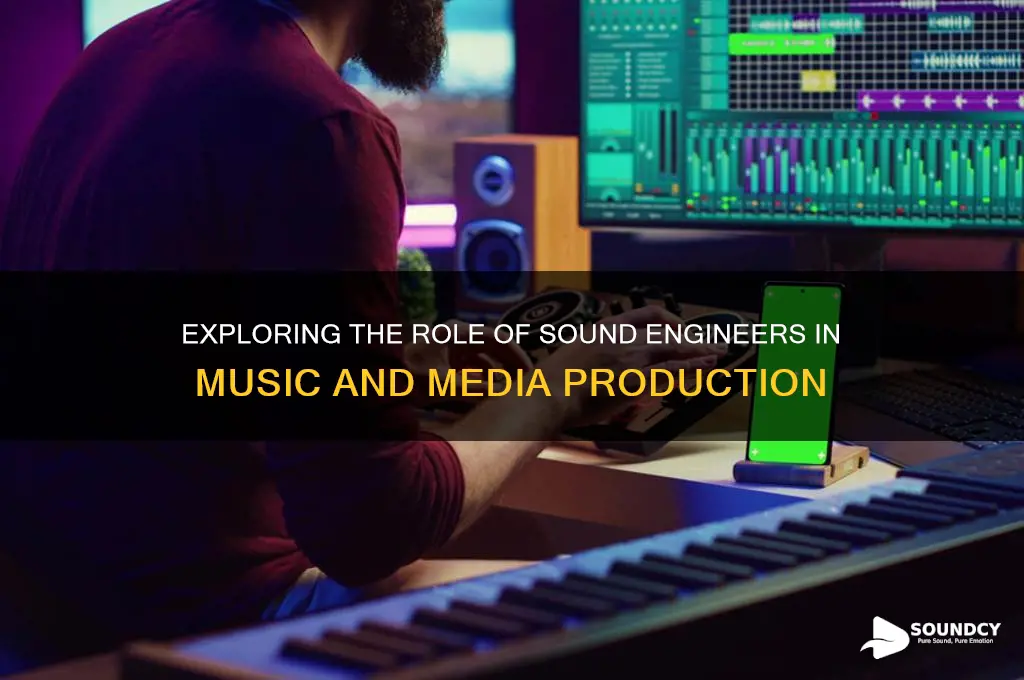 what do sound engineering do