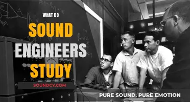 Exploring Sound Engineering: Education, Skills, and Career Pathways
