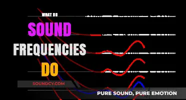 Unveiling the Power: How Sound Frequencies Influence Mind and Body