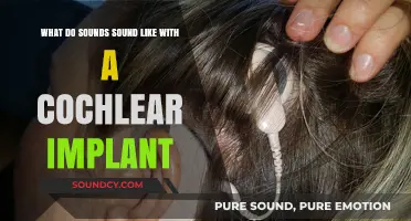 Exploring Sonic Experiences: Life with a Cochlear Implant