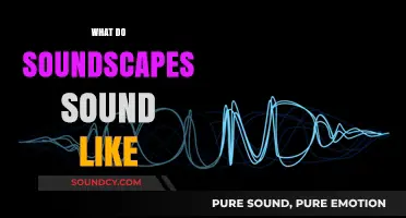 Exploring the Sonic Tapestry: What Do Soundscapes Sound Like?