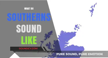 Unraveling the Unique Southern Accent: How Do Southerners Really Sound?