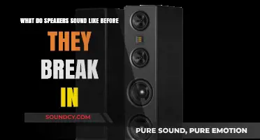 The Pre-Break Sound: Unveiling the True Voice of Speakers