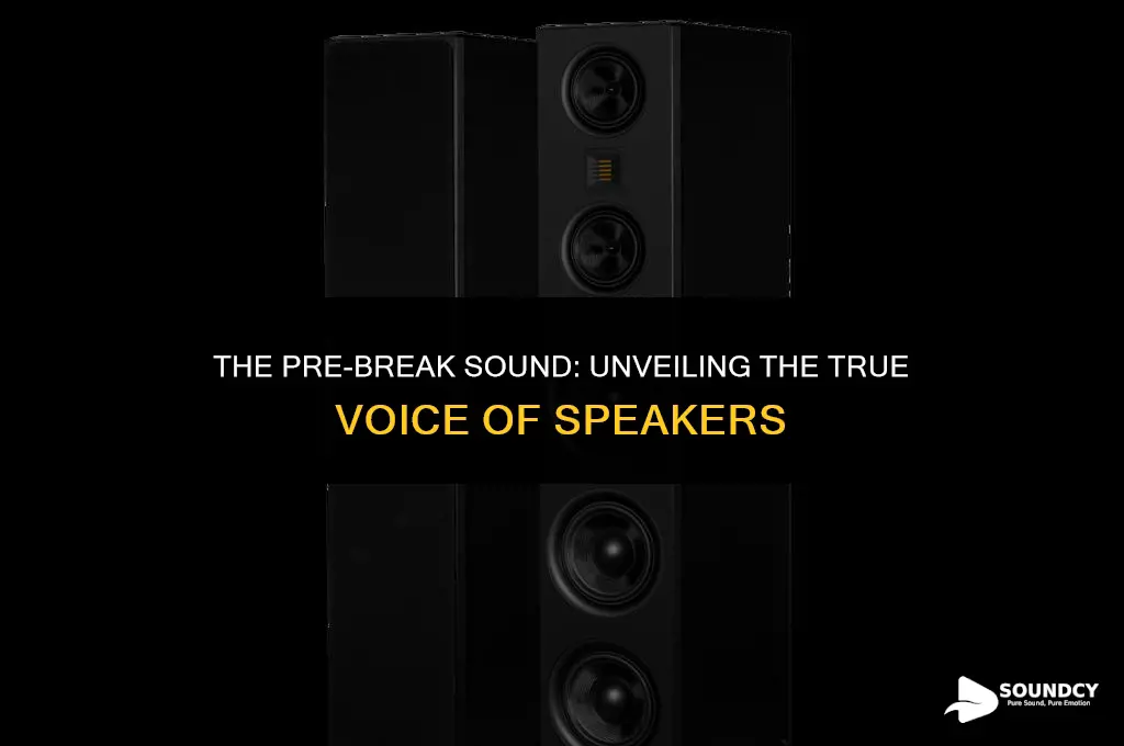 what do speakers sound like before they break in