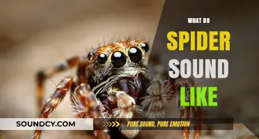 Unveiling the Mysterious Sounds of Spiders: What Do They Sound Like?
