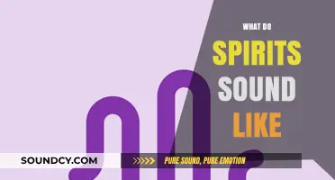 Unveiling the Eerie Sounds of Spirits: What Do They Whisper?