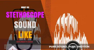 Unveiling the Unique Sounds: What Does a Stethoscope Actually Capture?