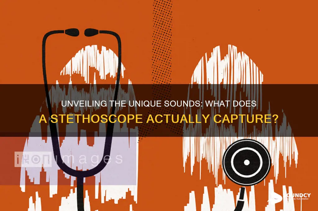 what do stethoscope sound like