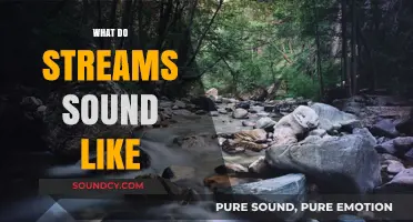 Exploring the Soothing Sounds of Streams: Nature's Serene Symphony